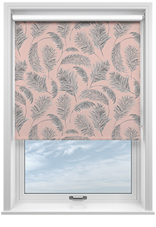 Pampas Grass, Sorbet - Roller Blind
